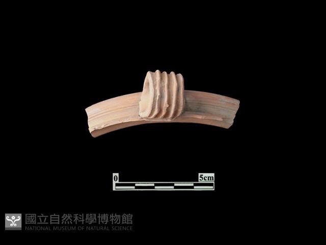 陶片藏品圖，第2張