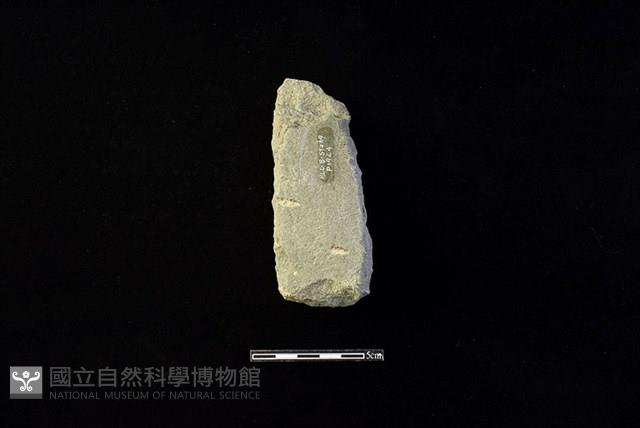 磨製石器藏品圖，第2張