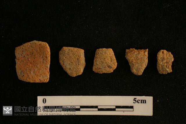 陶片藏品圖，第2張