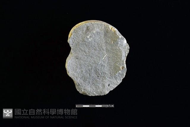 石核藏品圖，第2張