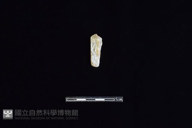 錛鑿形器藏品圖，第2張