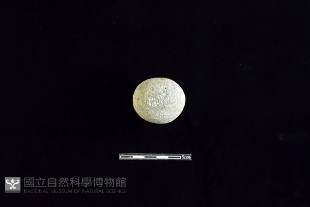 Accession Number:HLL-L-ST011 Collection Image, Figure 2, Total 2 Figures