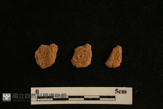 陶片藏品圖，第2張