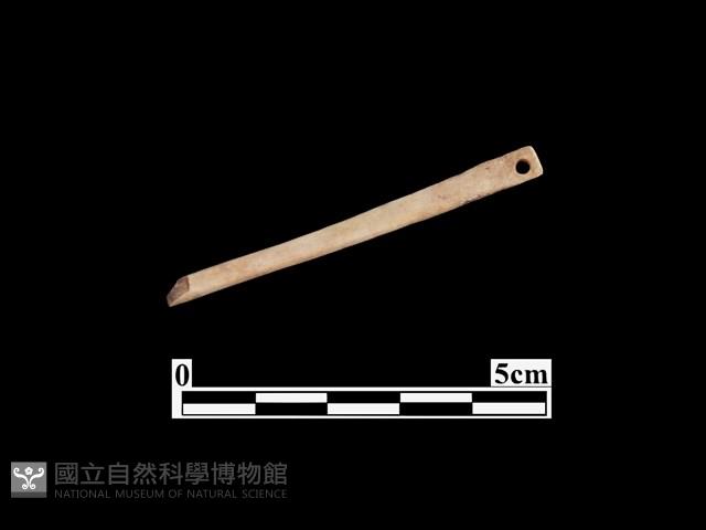 骨針藏品圖，第2張