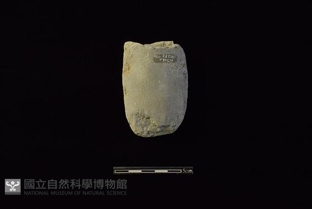 斧鋤形器藏品圖，第2張