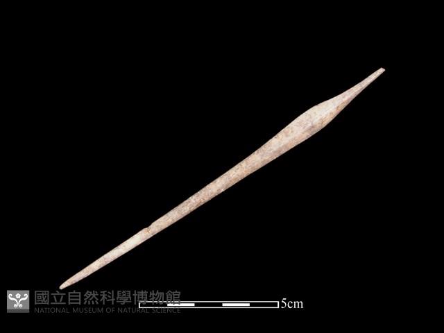 骨簪藏品圖，第2張