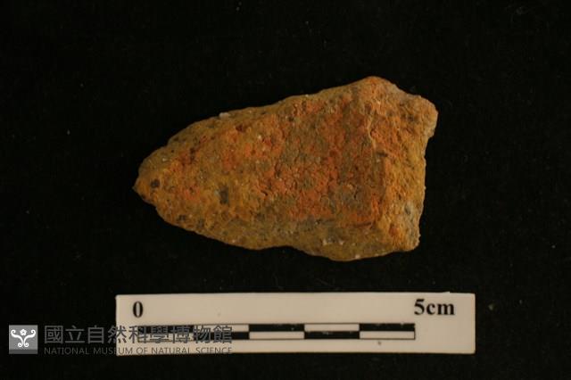 陶片藏品圖，第2張