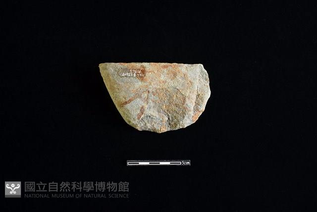 打製石器藏品圖，第2張