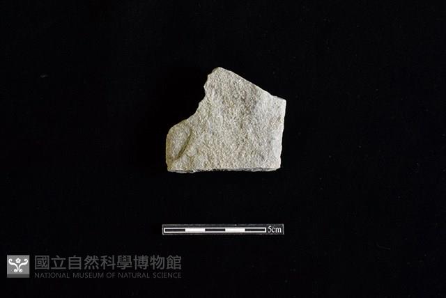 斧鋤形器藏品圖，第2張