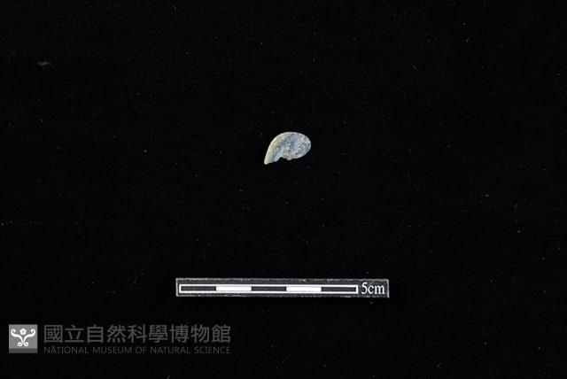 板岩片藏品圖，第2張