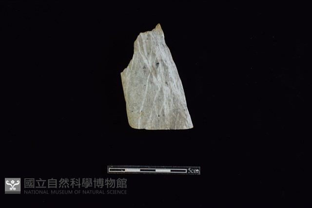 錛鑿形器藏品圖，第2張