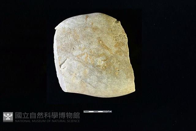 砥石藏品圖，第2張