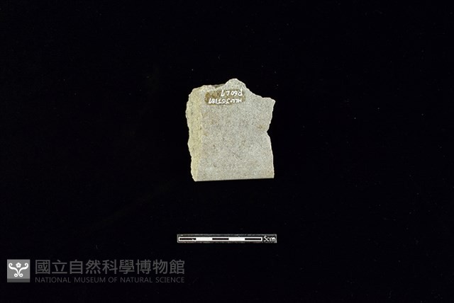 巴圖形器藏品圖，第2張