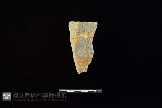 打製石器藏品圖，第2張