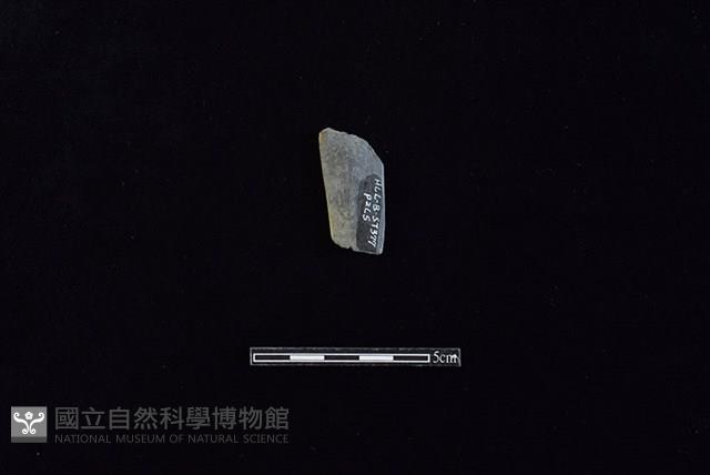 矛鏃形器藏品圖，第2張