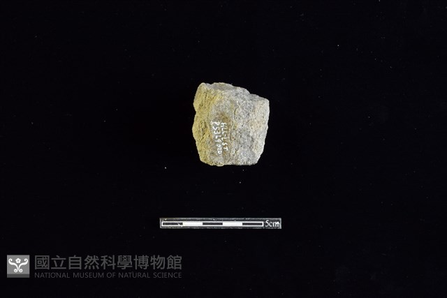 石材藏品圖，第2張