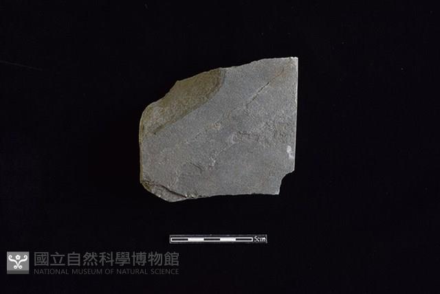 砥石藏品圖，第2張