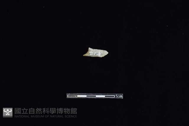 錛鑿形器藏品圖，第2張