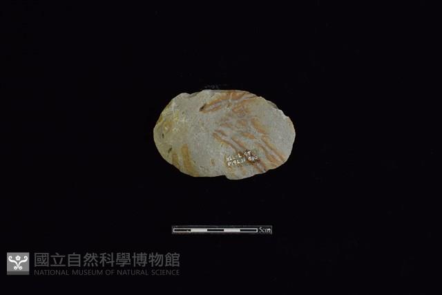 石材藏品圖，第2張