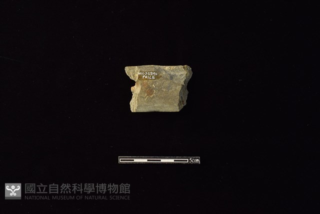 磨製石器藏品圖，第2張