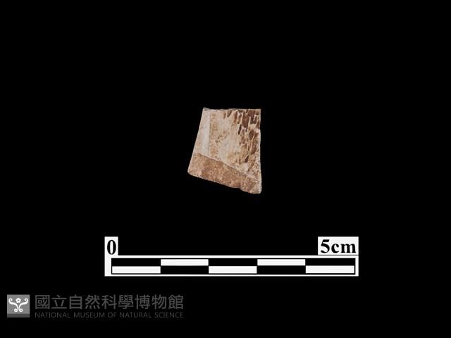 骨器藏品圖，第2張