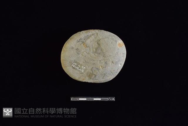 石鎚藏品圖，第2張