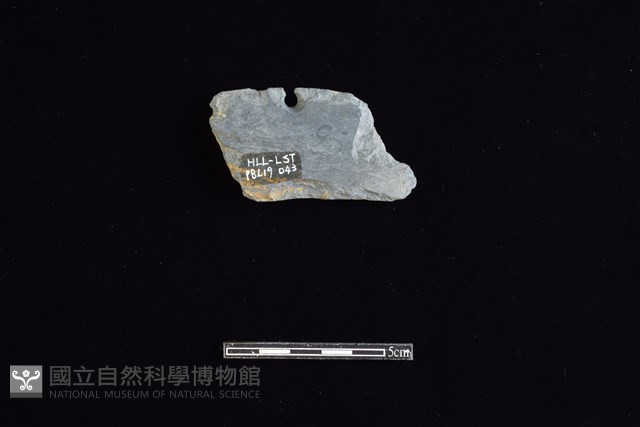 磨製石器藏品圖，第2張