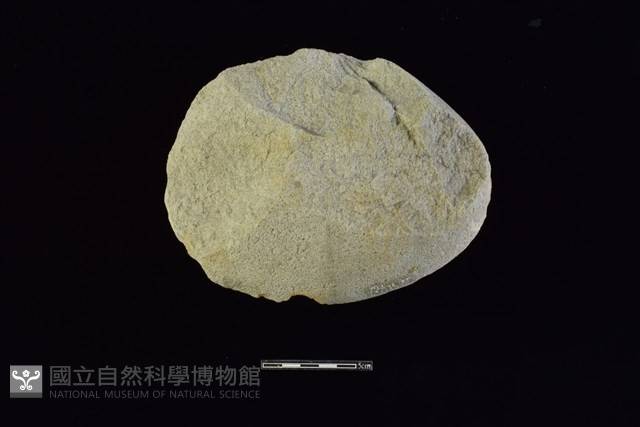 石核藏品圖，第2張