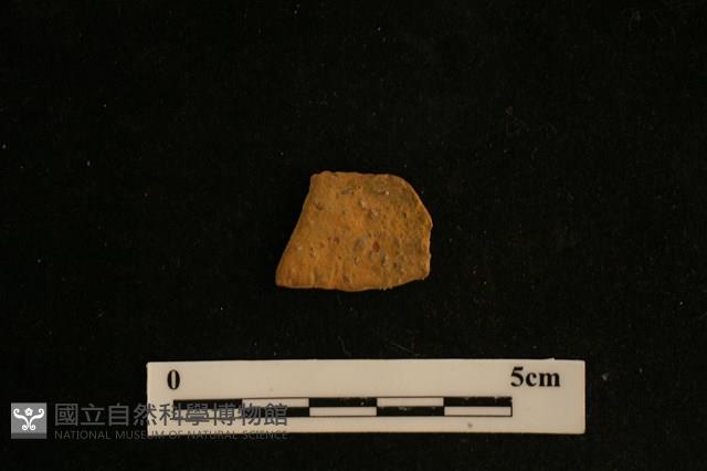 陶片藏品圖，第2張