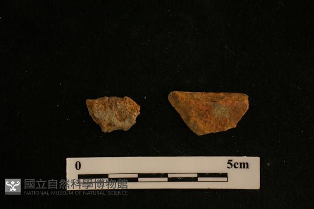 陶片藏品圖，第2張