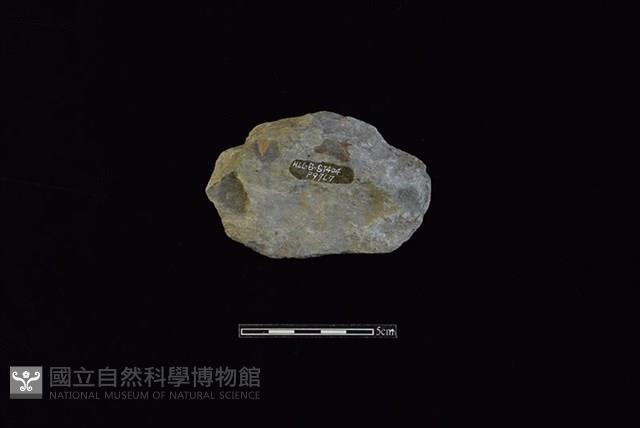 石片器藏品圖，第2張