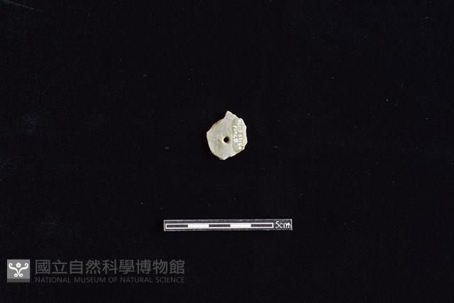 Accession Number:HLL-J ST154 Collection Image, Figure 2, Total 2 Figures