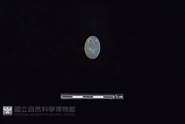 板岩片藏品圖，第2張