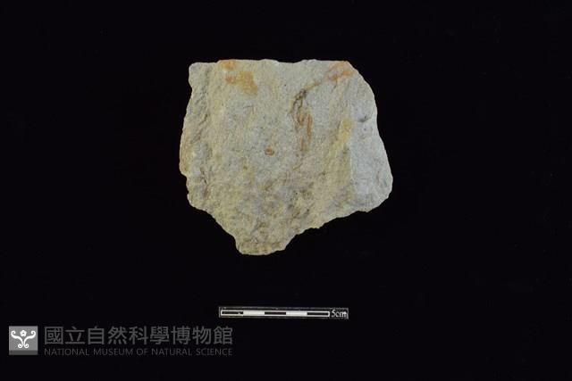 石材藏品圖，第2張