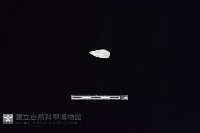 石材藏品圖，第2張