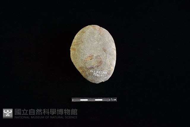石鎚藏品圖，第2張