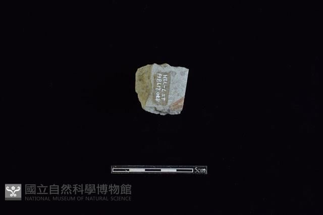 Accession Number:HLL-L-ST048 Collection Image, Figure 2, Total 2 Figures