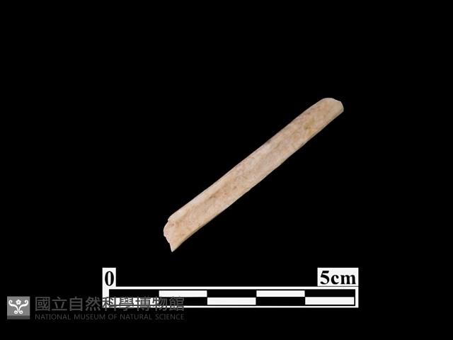 骨器藏品圖，第2張