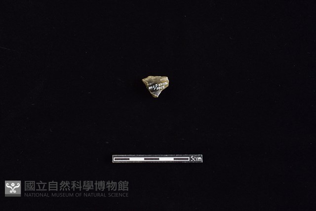 燧石藏品圖，第2張