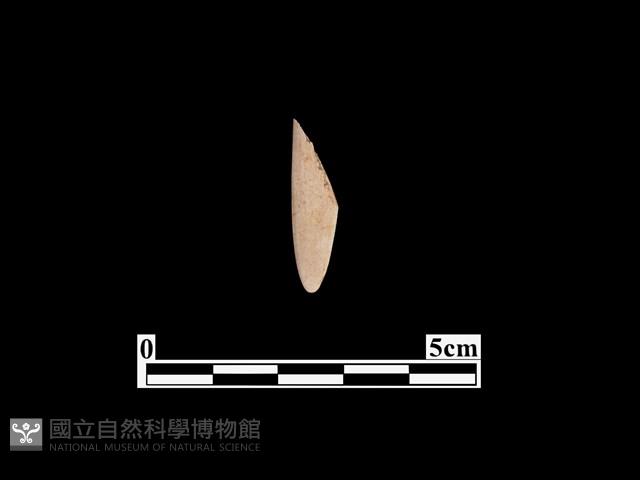 骨器藏品圖，第2張