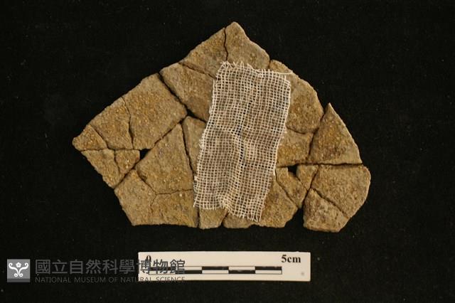 陶片藏品圖，第2張