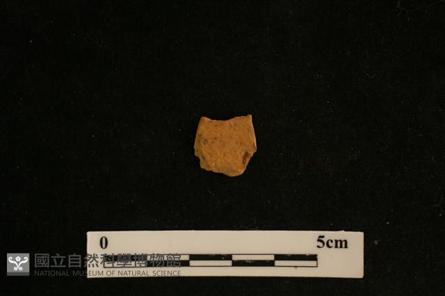 陶片藏品圖，第2張