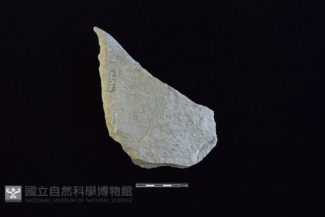 斧鋤形器藏品圖，第2張