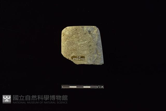 錛鑿形器藏品圖，第2張