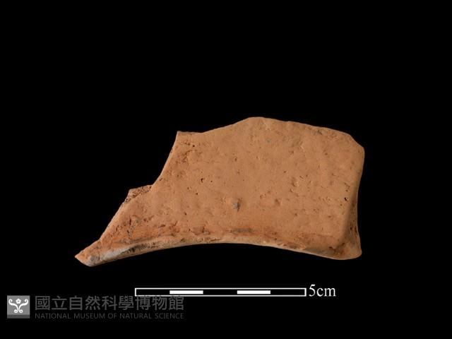 連杯形器藏品圖，第1張