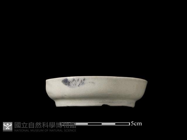 瓷碟藏品圖，第2張
