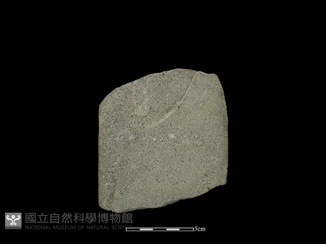 磨製斧鋤形器藏品圖，第2張