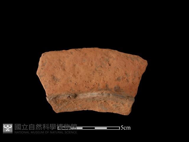 連杯形器藏品圖，第2張