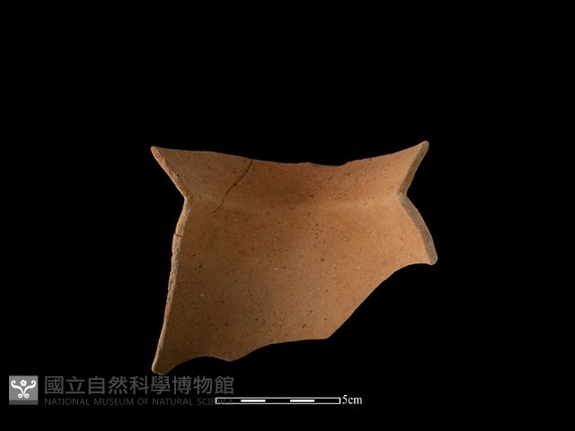 陶罐藏品圖，第2張