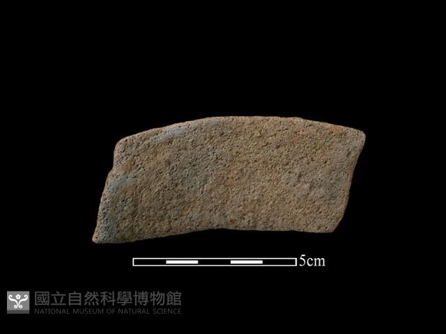 陶片藏品圖，第1張